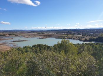 Randonnée Marche Argens-Minervois - entre argens et bassanel  - Photo