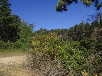 Percorso Mountainbike Meursault - VTT a meursault - Photo