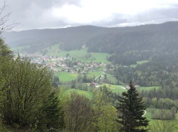 Tocht Noords wandelen Morbier - Roche Devant - 4 chemins - Photo