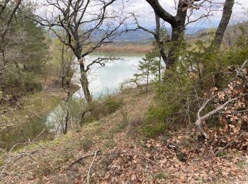 Tour Wandern Céreste - Luberon  - Photo