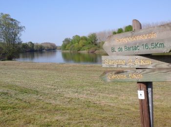 Trail On foot Barsac - Boucle locale de Barsac - Photo