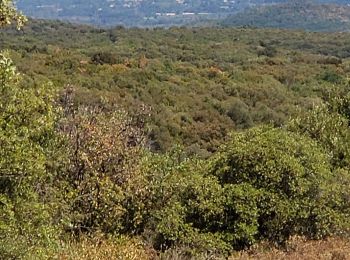 Tour Wandern Le Garn - Tarn ardeche - Photo