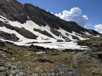 Tour Wandern Pralognan-la-Vanoise - Vanoise 2021 : refuge de la Vanoise au refuge de la Valette par les glacier et le dôme des Sonnailles (-07-18).ori - Photo