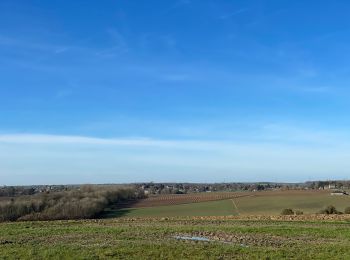 Tocht Stappen Ouffet - Ouffet  - Photo