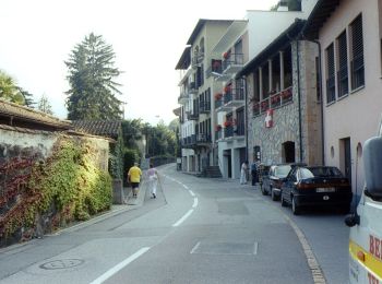 Randonnée A pied Melide - Melide-Vico Morcote - Photo