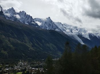 Randonnée Marche Chamonix-Mont-Blanc - CHAMONIX ... La buvette de la Floria.  - Photo