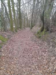 Tour Wandern Libin - parcours de 10km. Reconnaissance des différents parcours de la marche ADEPS Points Verts à  Villance. - Photo