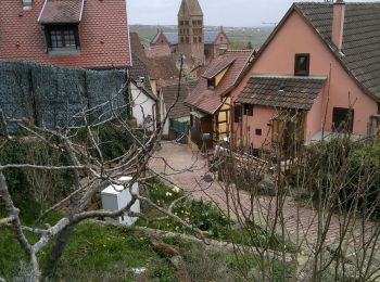 Randonnée Marche Gueberschwihr - Promenade circulaire Kuckuckstei - Photo