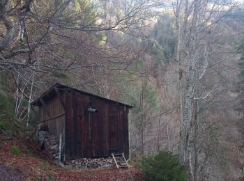 Tour Wandern Val-d'Arc - tour du haut de Randens - Photo