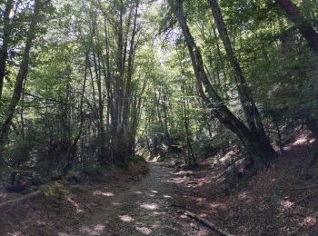 Randonnée Marche Erro - Compostelle - Camino Frances : J3 de Espinal à Zabaldika - Photo