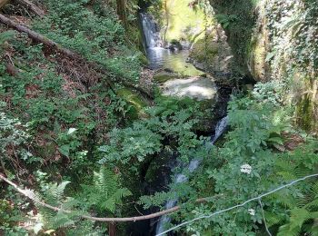 Excursión Senderismo Saint-Étienne-Vallée-Française - saint Étienne vallée francaise - Photo