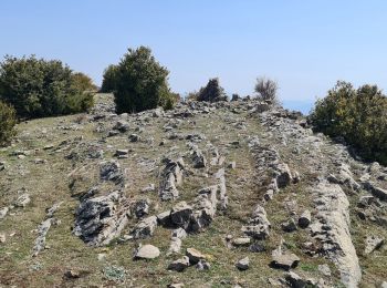 Tocht Stappen Pierrefeu - mont brune  - Photo