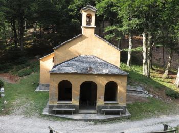 Percorso A piedi Trarego Viggiona - R36 Fudrasca - Monte Pian Bello - Photo