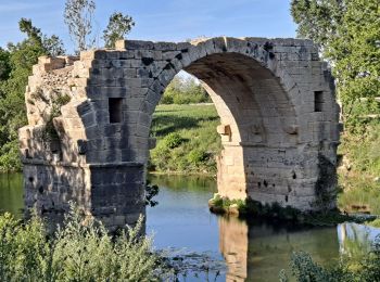Randonnée Marche Villetelle - Oppidum Ambrussum - Photo