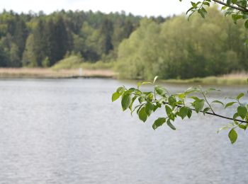 Tocht Te voet Wangen im Allgäu - Wanderweg 4 Wangen im Allgäu - Photo