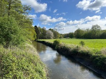 Tour Wandern Overijse - #230220 - Terlanen, Schaatbroekbos, GR579 - Photo