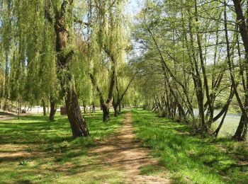 Trail Walking Boadilla del Camino - 26.04.18 Boadilla del Camino--Carrion de los Condes - Photo