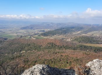 Randonnée Marche Manas - Manas-Saudon 14km - Photo