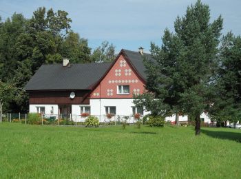 Tour Zu Fuß Grulich - [Ž] Mladkov - Bouda - Photo