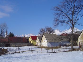 Tocht Te voet okres Poprad - Kimbiark - Photo