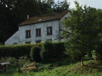 Randonnée Marche Chiny - Semois, rochers et étangs - Photo