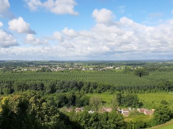 Tour Wandern Sainte-Croix-du-Mont - Circuit Ste. Croix du mont / Verdelais / St. Maixant - Photo