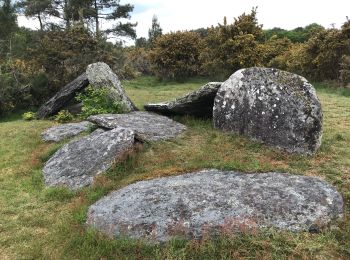 Excursión Senderismo Monteneuf - 05.05.2019 - Monteneuf à Porcaro à Guer - Photo