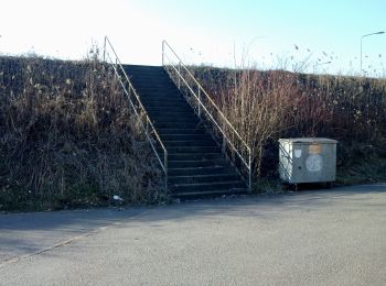 Tour Zu Fuß Maschwanden - Maschwanden - Knonau - Photo