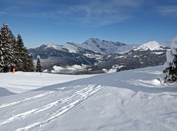 Excursión Raquetas de nieve Les Villards-sur-Thônes - Plateau de Beauregard - Photo