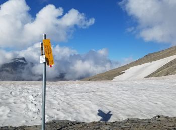 Tocht Noords wandelen Crans-Montana - Col du Schwarshorn - Photo