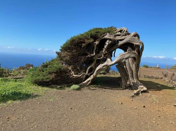 Percorso Marcia Frontera - Sabinosa - El Sabinar - Ermita Virgen de Los Reyes (El Hierro) - Photo