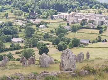 Randonnée Marche Borée - Autour de Borée - Photo