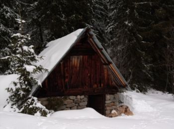 Excursión Esquí de fondo Le Lauzet-Ubaye - Vallon de l'Ambouin - Crête du Laveret - Photo