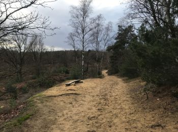 Tocht Stappen Maaseik - Opoeteren: rond Oudsberg - Photo