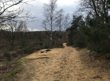 Excursión Senderismo Maaseik - Opoeteren: rond Oudsberg - Photo