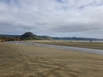 Excursión A pie Te Hiku Community - Te Araroa - 01 Northland - b Ahipara to Puketi Recreation Centre, Waiare Rd - Photo