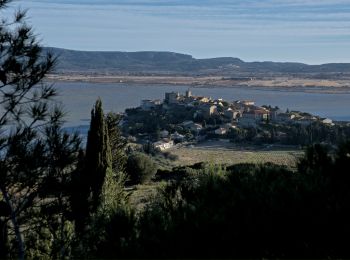 Tour Wandern Bages - Boucle de Bages à Peyrac-de-Mer - Photo