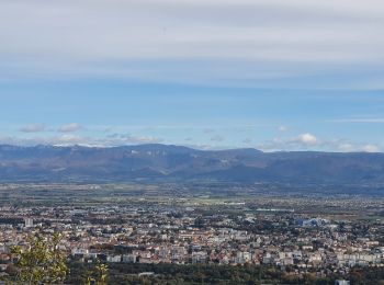 Trail Walking Saint-Péray - Le château de Crussol et ses crêtes  - Photo