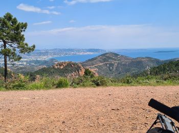 Excursión Bici de montaña Mandelieu-la-Napoule - esterel - Photo