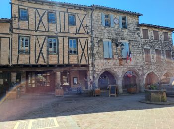 Randonnée Marche Castelnau-de-Montmiral - boucle castelnau de montmiral - Photo