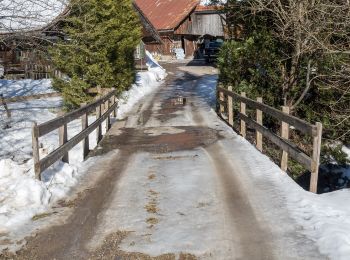 Trail On foot Escholzmatt-Marbach - Turner - Escholzmatt - Photo