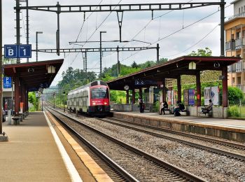 Randonnée A pied Fehraltorf - Fehraltorf - Nänikon-Greifensee - Photo