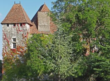 Randonnée A pied Penne-d'Agenais - Penne-d’Agenais, vers le château de Noaillac - 13,2km - Photo