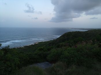 Tour Wandern Le Moule - Anse Patate - Photo