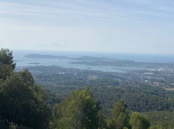 Tocht Stappen Ollioules - Chateauvallon  Antoine - Photo