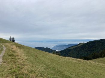 Excursión Senderismo Montreux - Le PACCOTA  - Photo