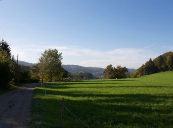Tocht Te voet Winterthur - Hardau - Blindensteg - Photo