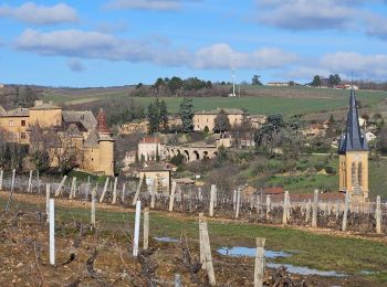 Tour Wandern Ville-sur-Jarnioux - Ville sur Jarnioux - Photo