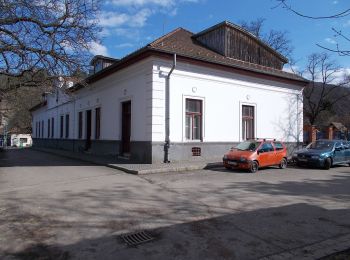 Tour Zu Fuß Freistadt - S+ (Nagymaros - Zebegény) - Photo