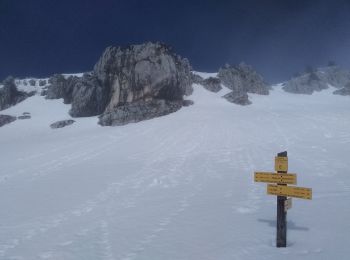 Percorso Sci alpinismo Saint-Pierre-de-Chartreuse - charmant Som par les Cottages - Photo